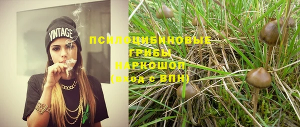 ALPHA PVP Армянск
