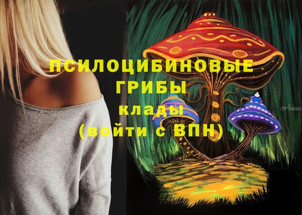 ALPHA-PVP Аркадак